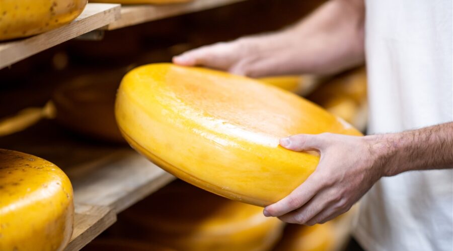 Trouvez le fromage parfait
