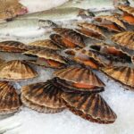 moules cuites avec coquille