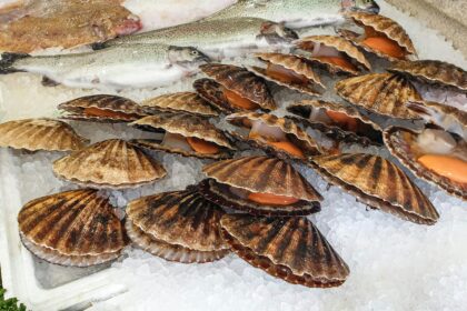 moules cuites avec coquille