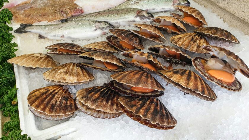 moules cuites avec coquille
